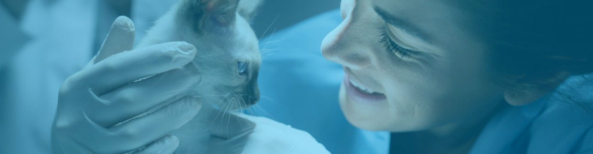 vet