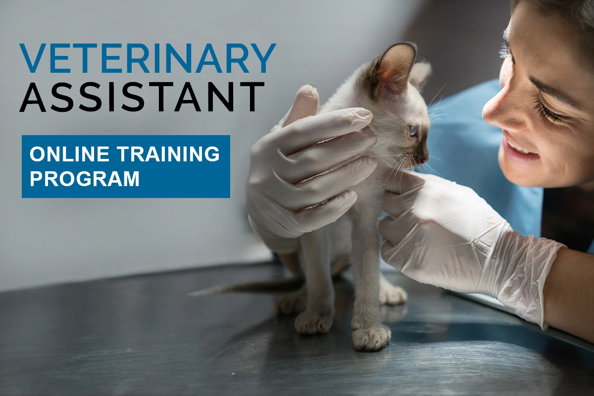Online Veterinary Assistant Training Program