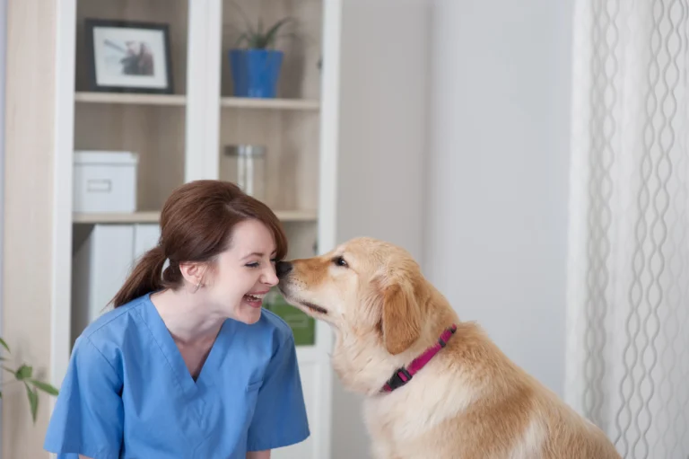 Online Veterinary Assistant Program