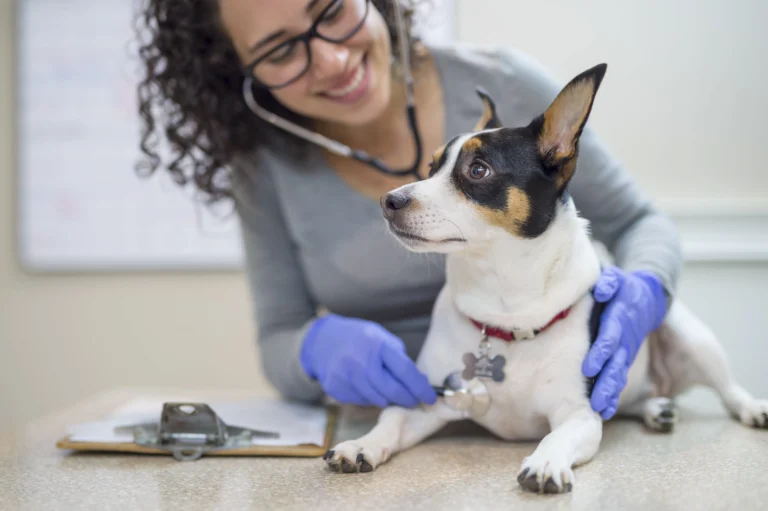 Online Veterinary Assistant Program